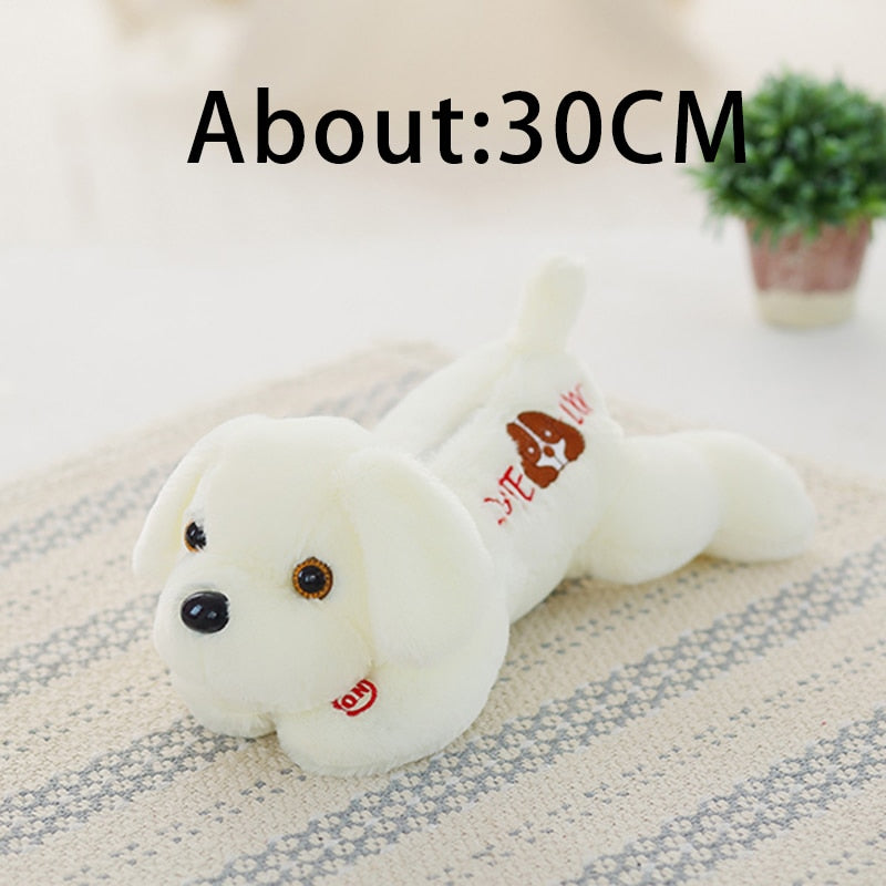 1pc 50cm luminous dog plush doll colorful LED glowing dogs children toys for girl kidz birthday gift WJ445