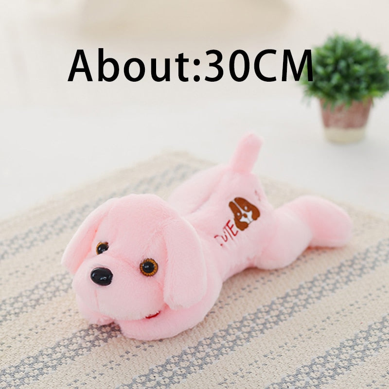 1pc 50cm luminous dog plush doll colorful LED glowing dogs children toys for girl kidz birthday gift WJ445